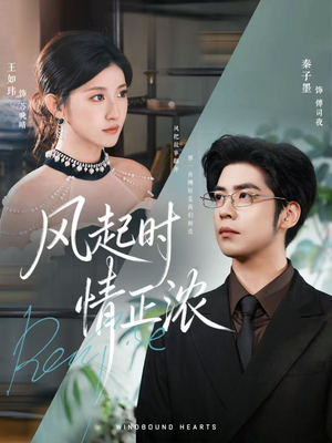 风起时情正浓（79集）短剧片段分享