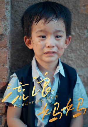 流浪妈妈（30集）大结局太过瘾了