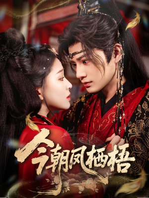 今朝凤栖梧（68集）精彩短剧片段