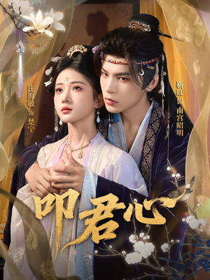 叩君心（64集）最火的短剧