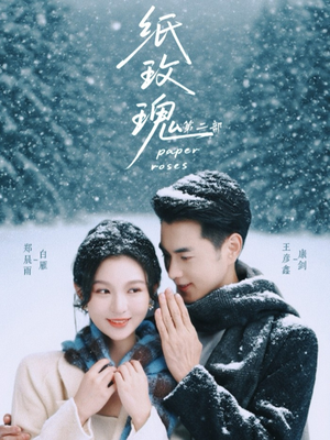 纸玫瑰第二部（80集）更新时间