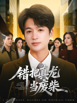 错把真龙当废柴（71集）百度网盘资源