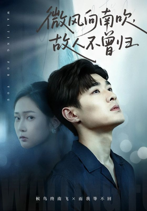 微风向南吹，故人不曾归（72集）分享热门短剧