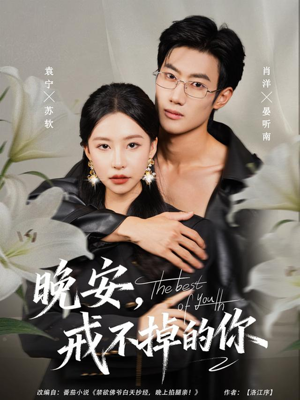 晚安,戒不掉的你(68集) 晚安,戒不掉的你(68集)一口气追完短剧