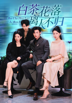 白茶花落离人（51集）热门短剧看不停