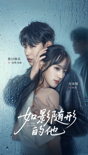 如影随形的他（30集）大结局