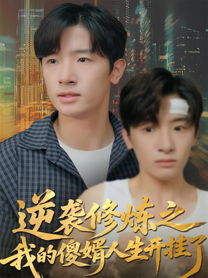 逆袭修炼之我的傻婿人生开挂了（65集）这短剧太好看了