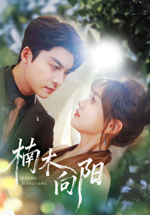 楠木向阳（70集）好看上头的短剧