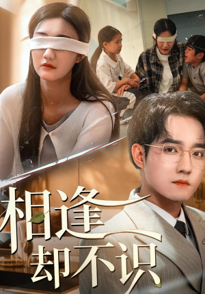 相逢却不识（77集）短剧在哪个平台