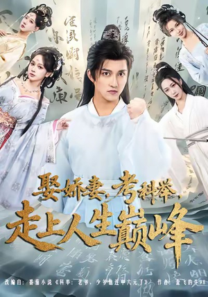 娶娇妻，考科举，走上人生巅峰（80集）短剧全集抢先看