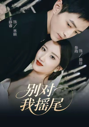 别对我摇尾（59集）火爆短剧推荐