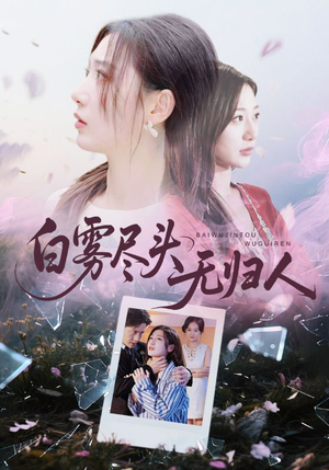 白雾尽头无归人（71集）80到100集