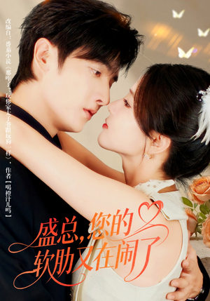 盛总，您的软肋又在闹了（80集）短剧演员排行榜