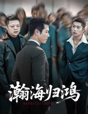 瀚海归鸿（74集）在线看免费版