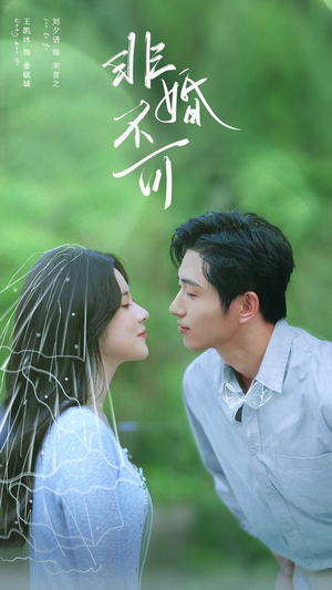 非婚不可（65集）短视频追剧推荐