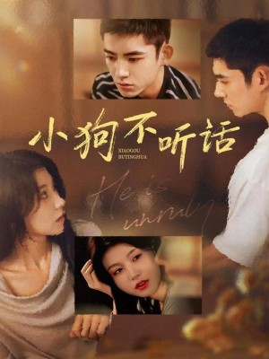 小狗不听话（70集）分享好看短剧