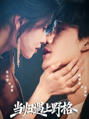 当归遇上野格（66集）最火爆的短剧