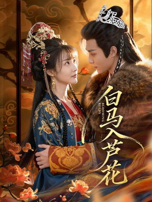 白马入芦花（59集）好看又上头短剧