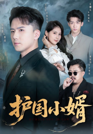 护国小婿（60集）精彩短剧后续