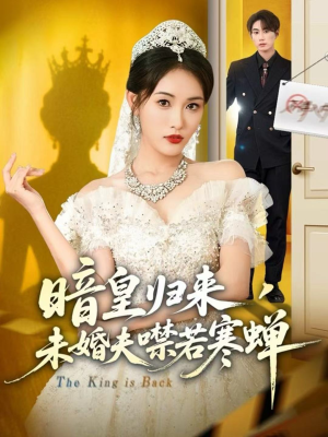 暗皇归来，未婚夫噤若寒蝉（65集）怎么看全集