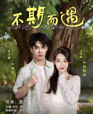 不期而遇(62集) 不期而遇(62集)百度在线观看