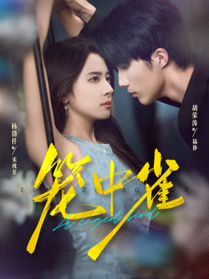 笼中雀（65集）短剧前十排行榜