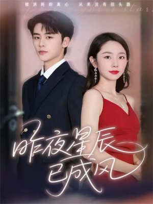 昨夜星辰已成风（75集）熬夜追短剧