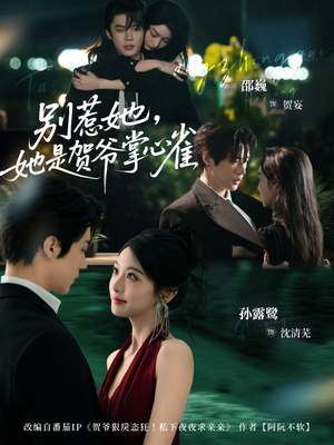 别惹她，她是贺爷掌心雀（69集）今日短剧分享