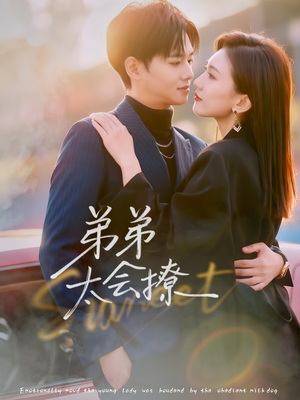 弟弟太会撩（81集）完整版免费观看