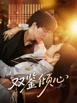 双鉴倾心（60集）完整版免费观看