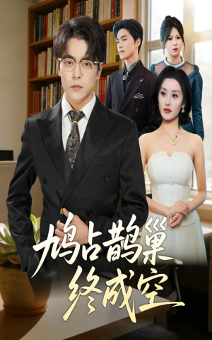 鸠占鹊巢终成空（67集）一共多少集