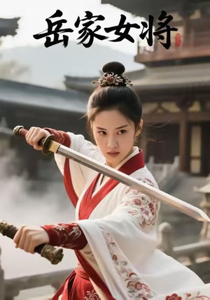 岳家女将（20集）热门短剧大全