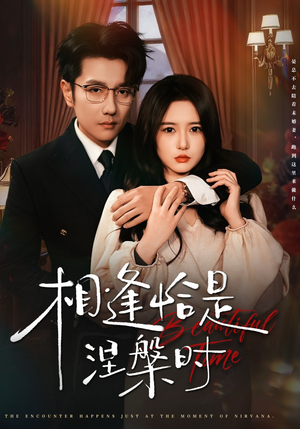 相逢恰是涅槃时(63集) 相逢恰是涅槃时(63集)推荐热门短剧