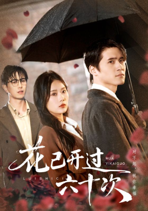 情敌交手她选择躺赢（72集）短剧解说全集