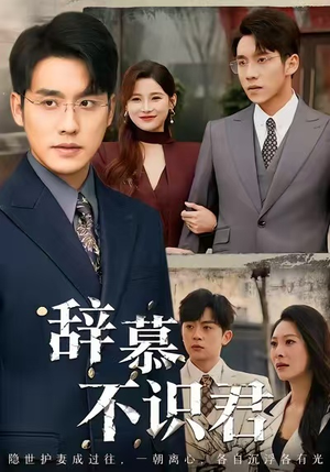 辞慕不识君（77集）无需会员免费看