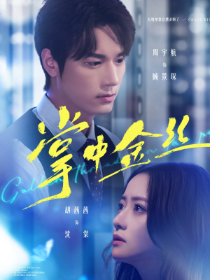 长姐她竟是隐藏大佬（60集）小短剧推荐