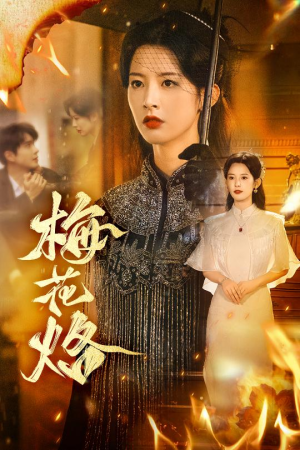 梅花烙（61集）经典老剧免费看