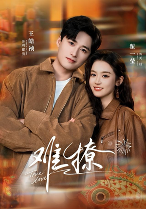 难撩（100集）常回家看看短剧