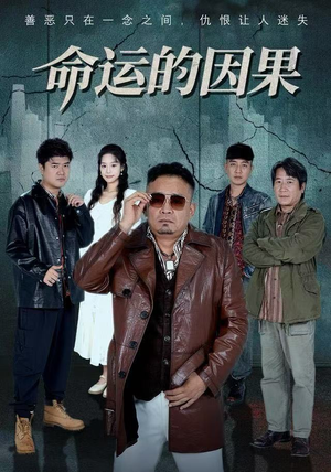 命运的因果（60集）热门火爆短剧