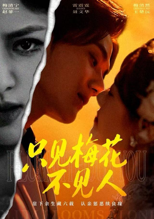 只见梅花不见人（63集）高质量短剧推荐