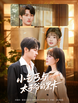 小乞丐与太子爷的黑卡（60集）在哪里可以全集