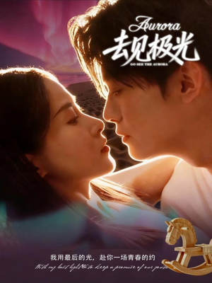 去见极光（60集）百度网盘资源