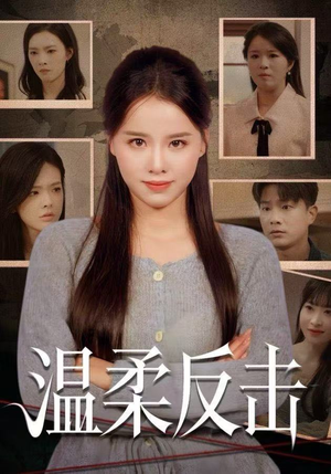 温柔反击（66集）全集免费