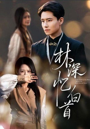 林深忆白首(60集) 林深忆白首(60集)短剧片段推荐