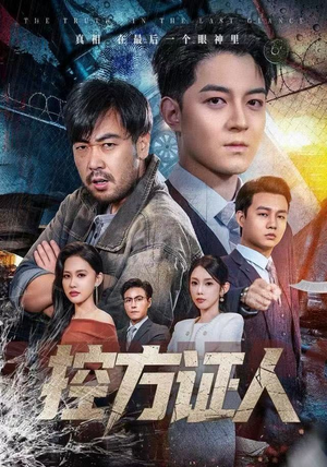 控方证人（75集）全集下载