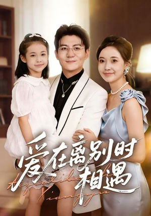 爱在离别时相遇（60集）经典老剧免费看