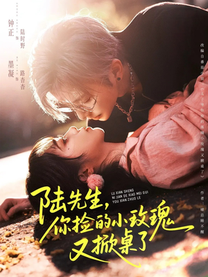 陆先生，你捡的小玫瑰又掀桌了（74集）精彩短剧热播中