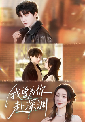 我曾为你赴深渊（63集）好看吗