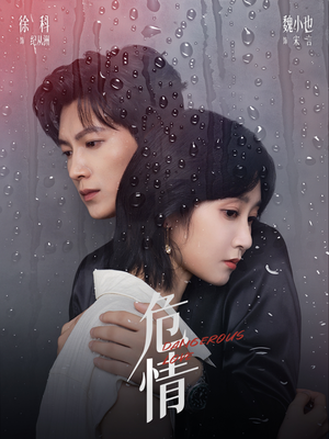 危情（65集）热门短剧大全