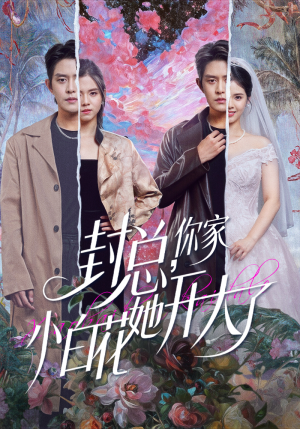 封总，你家小白花她开大了（60集）短剧免费看